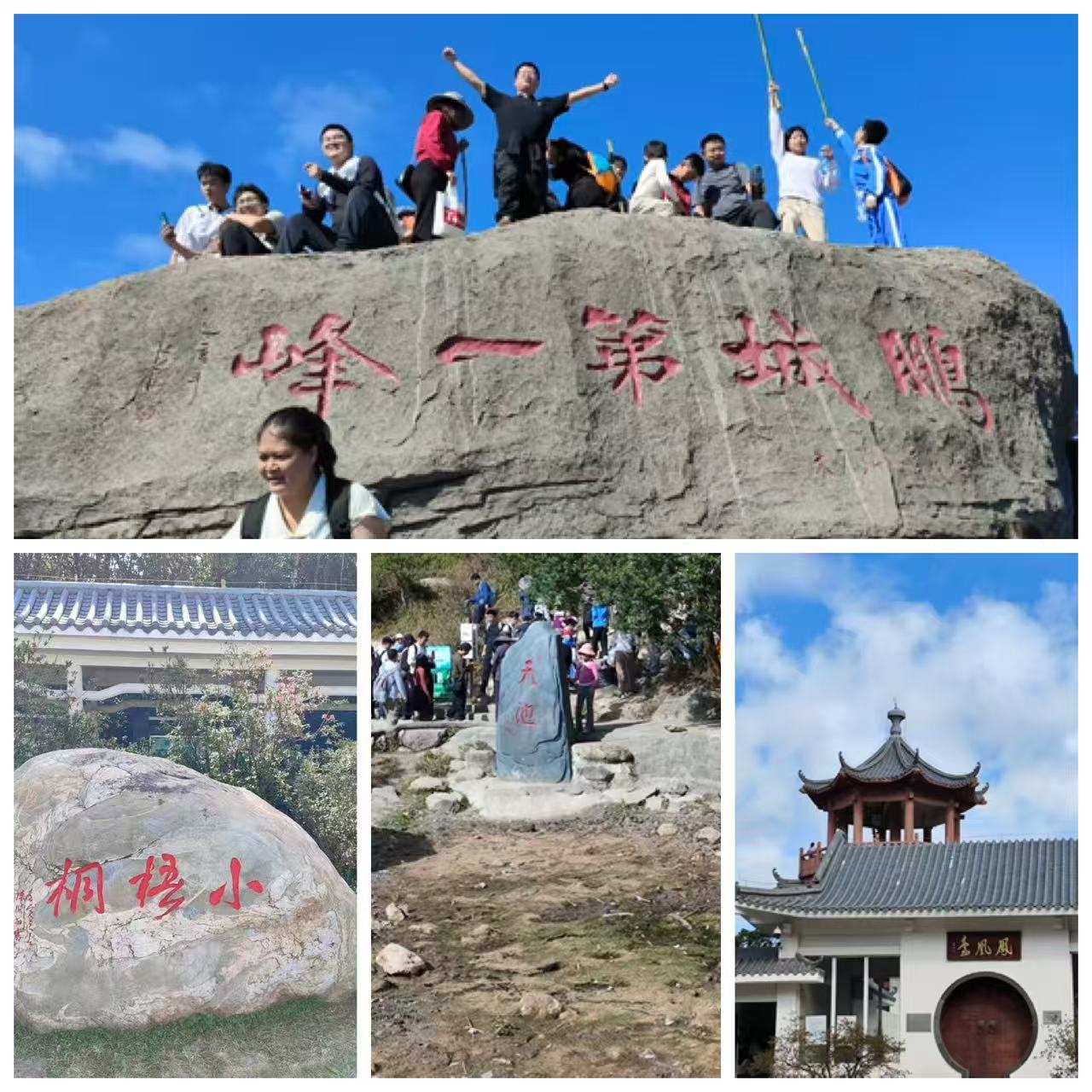 1764578768947956.jpg 1.jpg